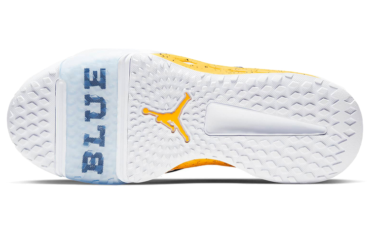 Jordan Alpha 360 TR ‚Michigan‘
