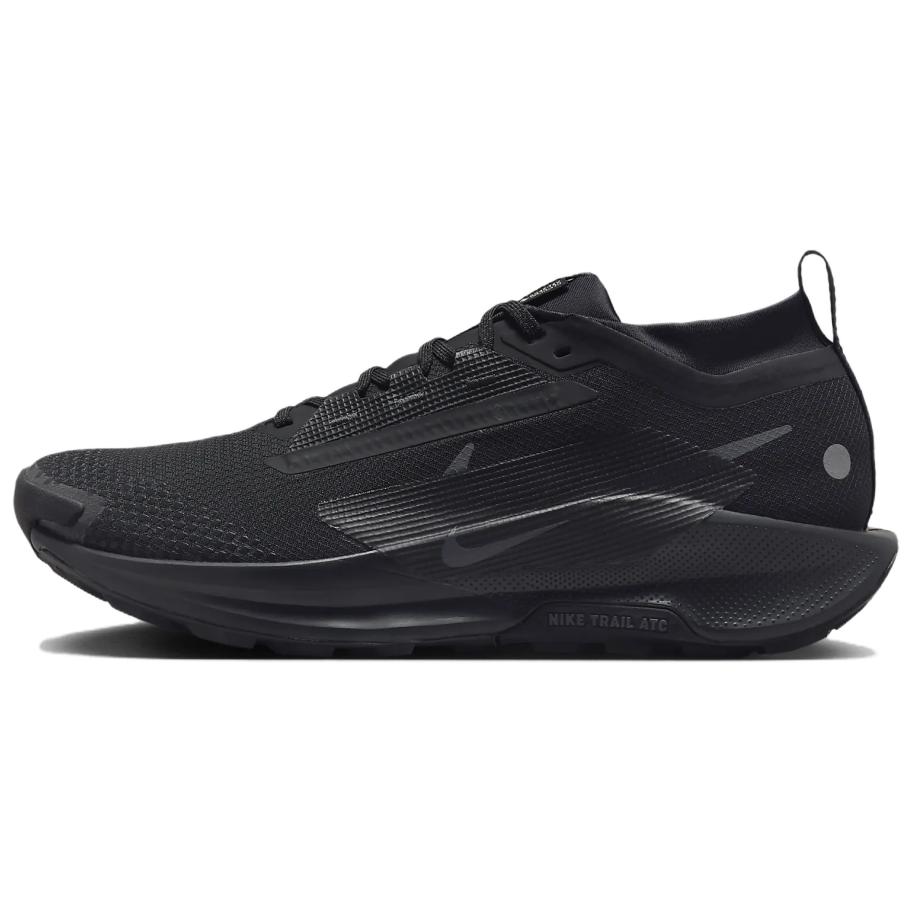 Nike Pegasus Trail 5 GORE-TEX ‚Black Anthracite‘