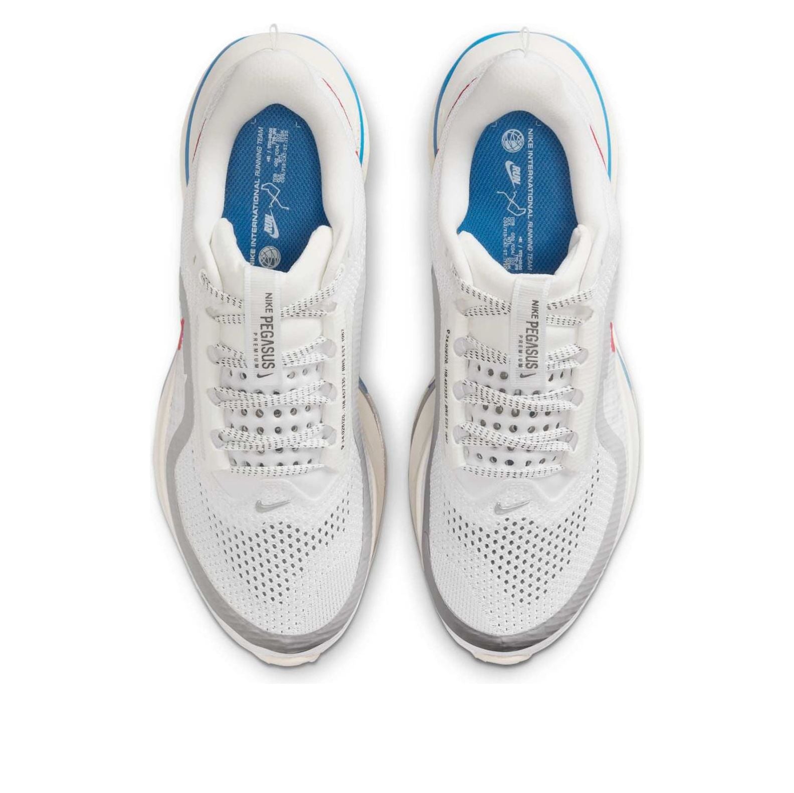 (Women) Nike Pegasus Premium ‚Forrest Gump‘