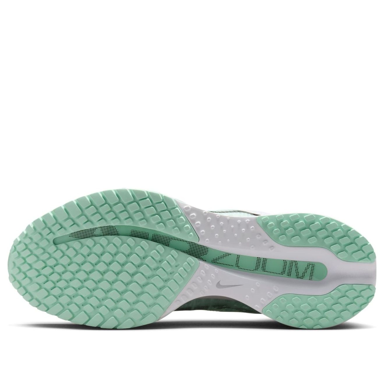 (Women) Nike Pegasus Premium ‚White Mint Foam‘