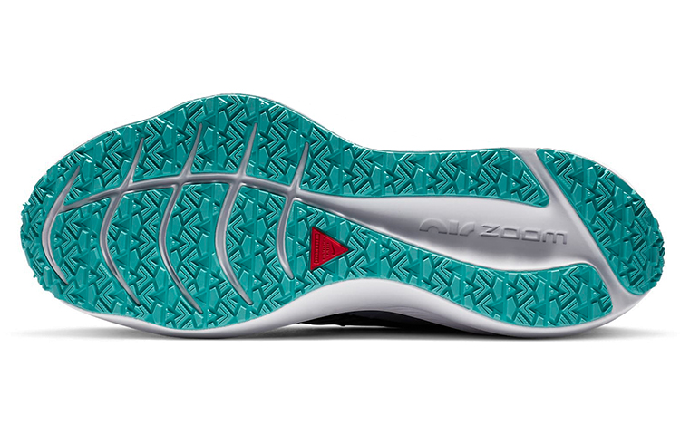 (Women) Nike Winflo 7 Shield ‚Obsidian Mist‘
